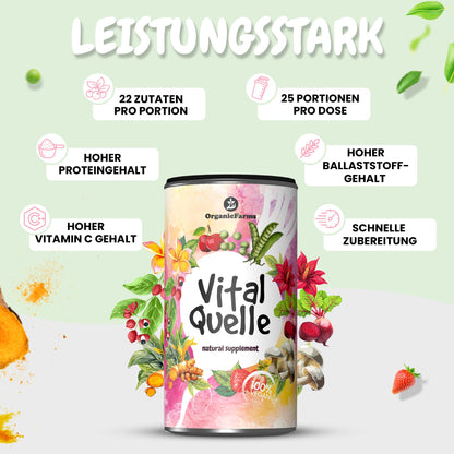 VITALQUELLE - Superfood Smoothie Pulver
