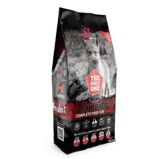 alpha spirit Dog The Only One Puppies