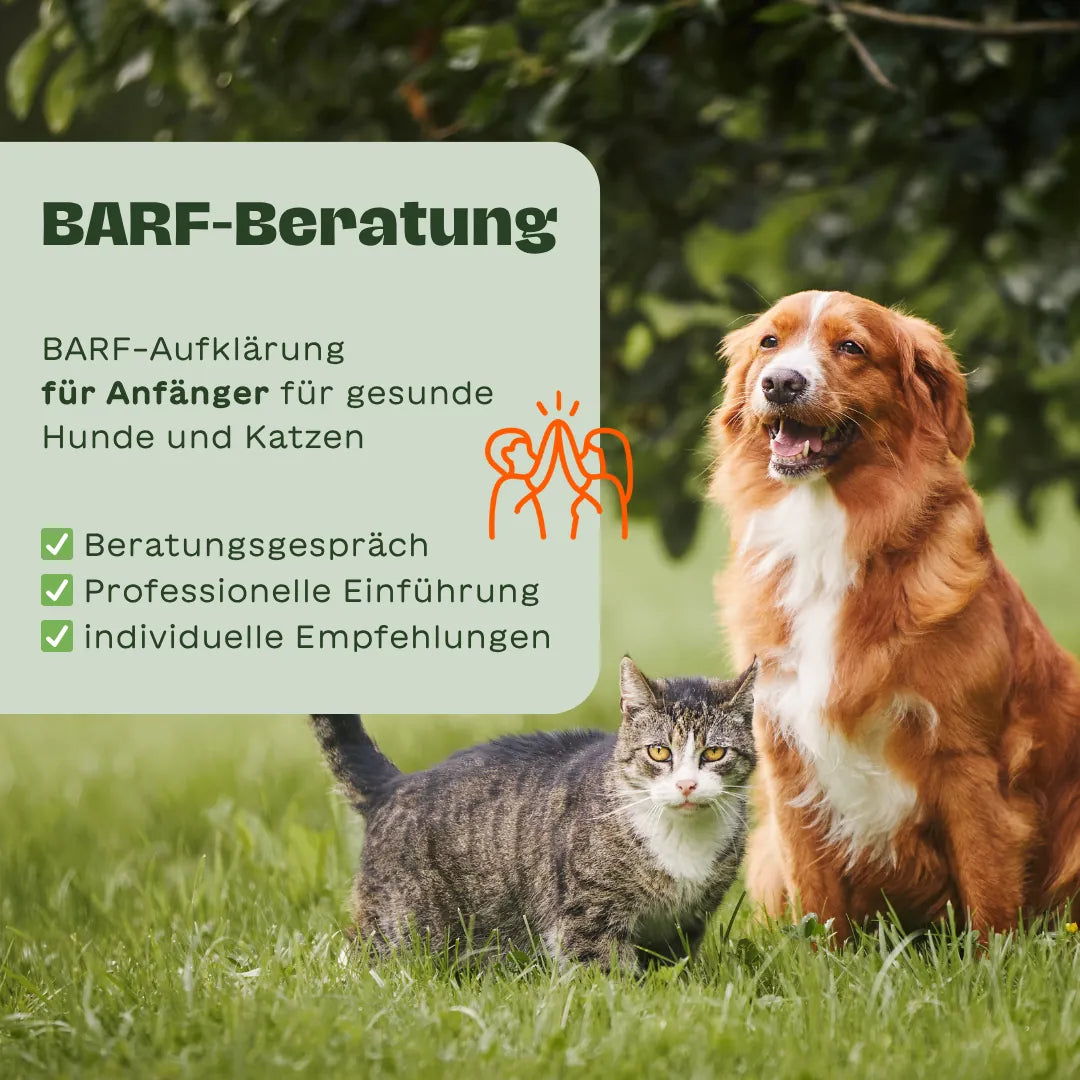 BARFER'S   - BARF-Beratung für Anfänger