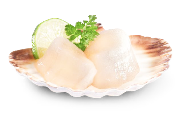 Scallops