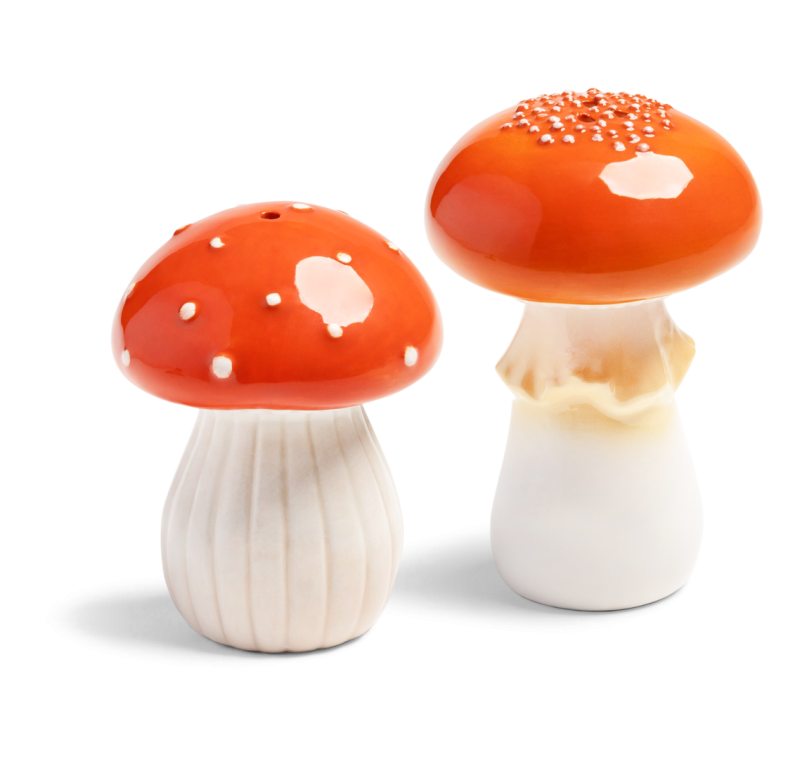 Pilze Salz- und Pfefferstreuer 9.5 x Ø 7 | 8 x Ø 6 cm