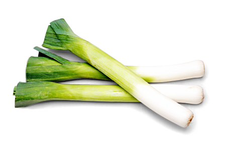 Lauch
