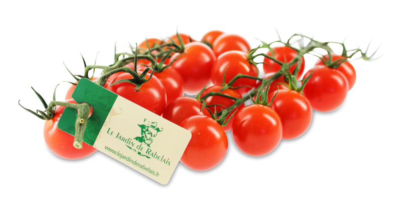 Cocktailtomaten