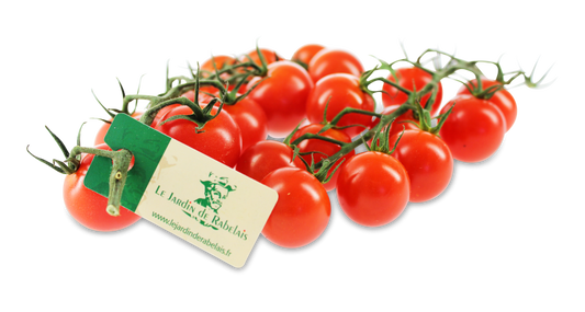 Cocktailtomaten