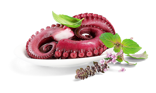 Pulpo gekocht