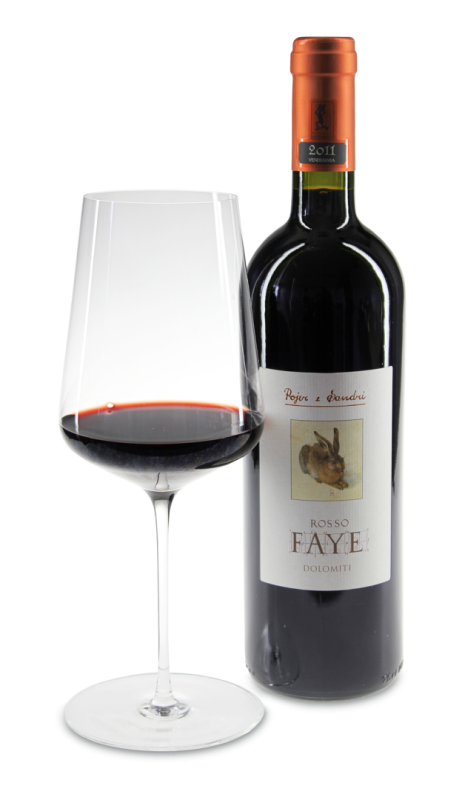 2011 Rosso Faye Vigneti delle Dolomiti IGT