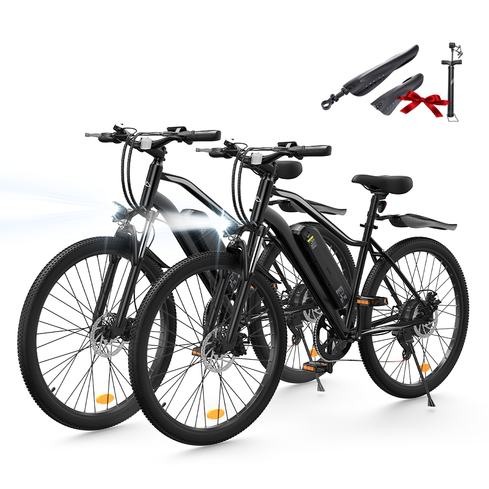 EB3 / EB3S E-Mountainbike - EB3 / Schwarz - 2 Stück