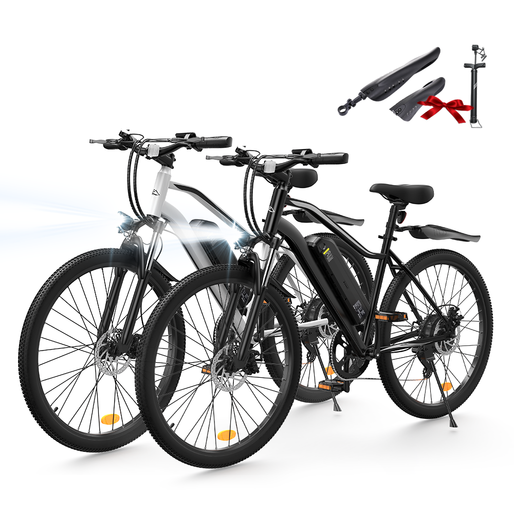 EB3 / EB3S E-Mountainbike - EB3 / Schwarz + Weiß