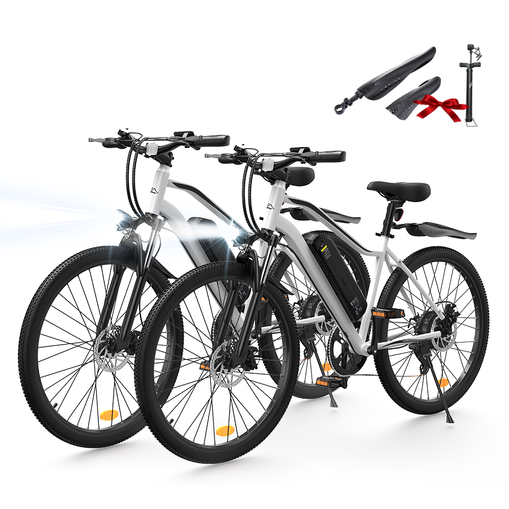 EB3 / EB3S E-Mountainbike - EB3S / Weiß - 2 Stück