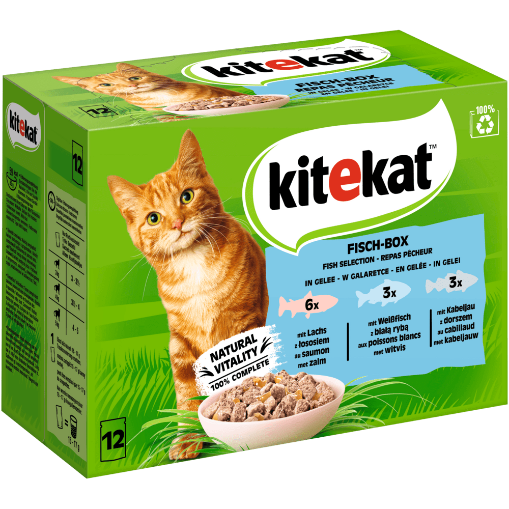 Kitekat MP Fisch-Box in Gelee 12x85g 4er Pack