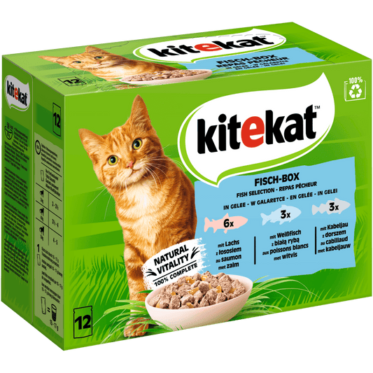 Kitekat MP Fisch-Box in Gelee 12x85g 4er Pack