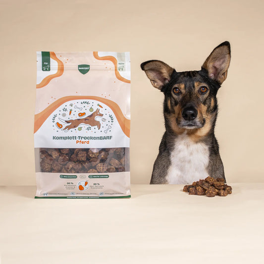 BARFER'S Für den Urlaub  - Komplett-TrockenBARF Pferd für Hunde, 300g