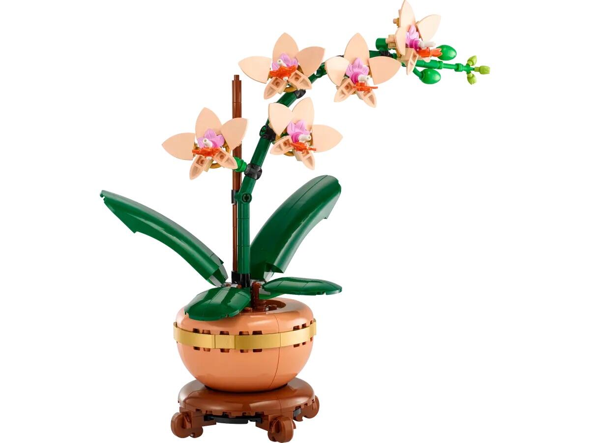 LEGO® Botanicals 10343 Mini-Orchidee