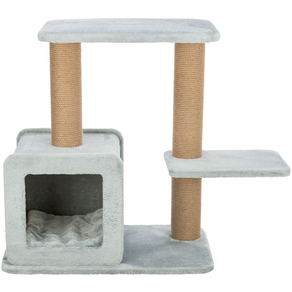 Kratzbaum Elena, salbei