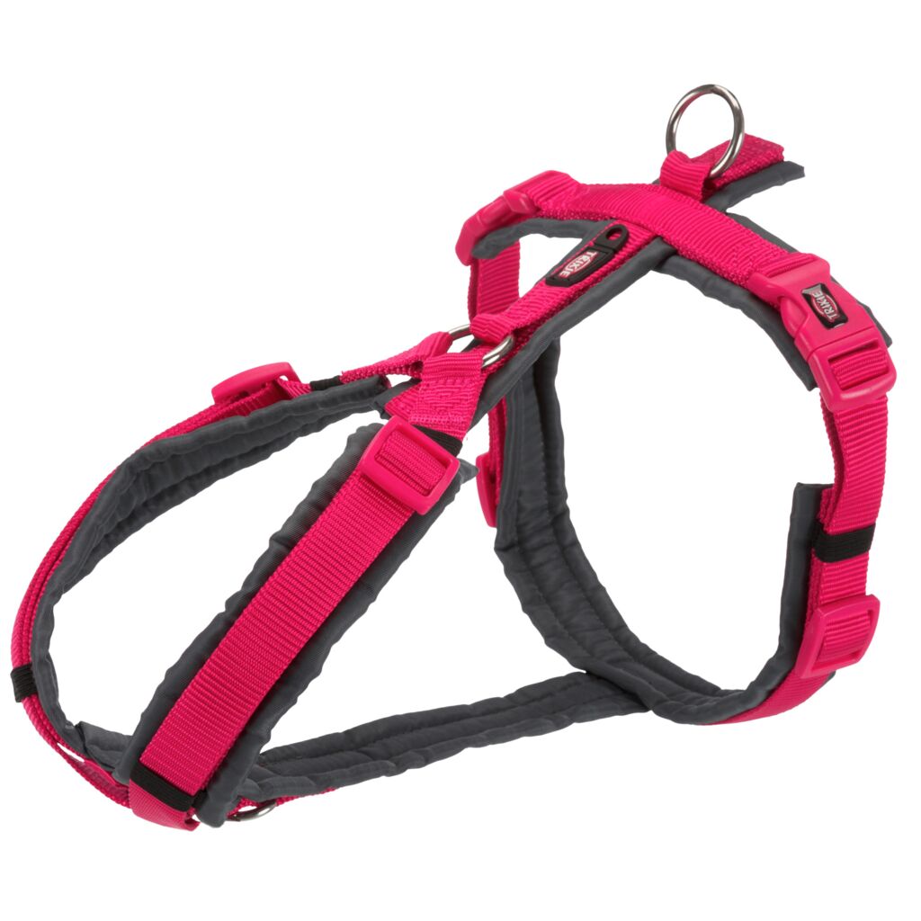 Premium Trekking Geschirr, fuchsia/grafit