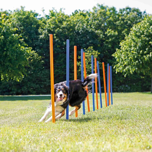 Fun Agility Slalom, Kunststoff, 12 St., /