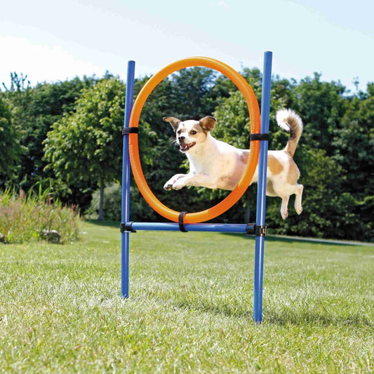 Fun Agility Ring, Kunststoff, /