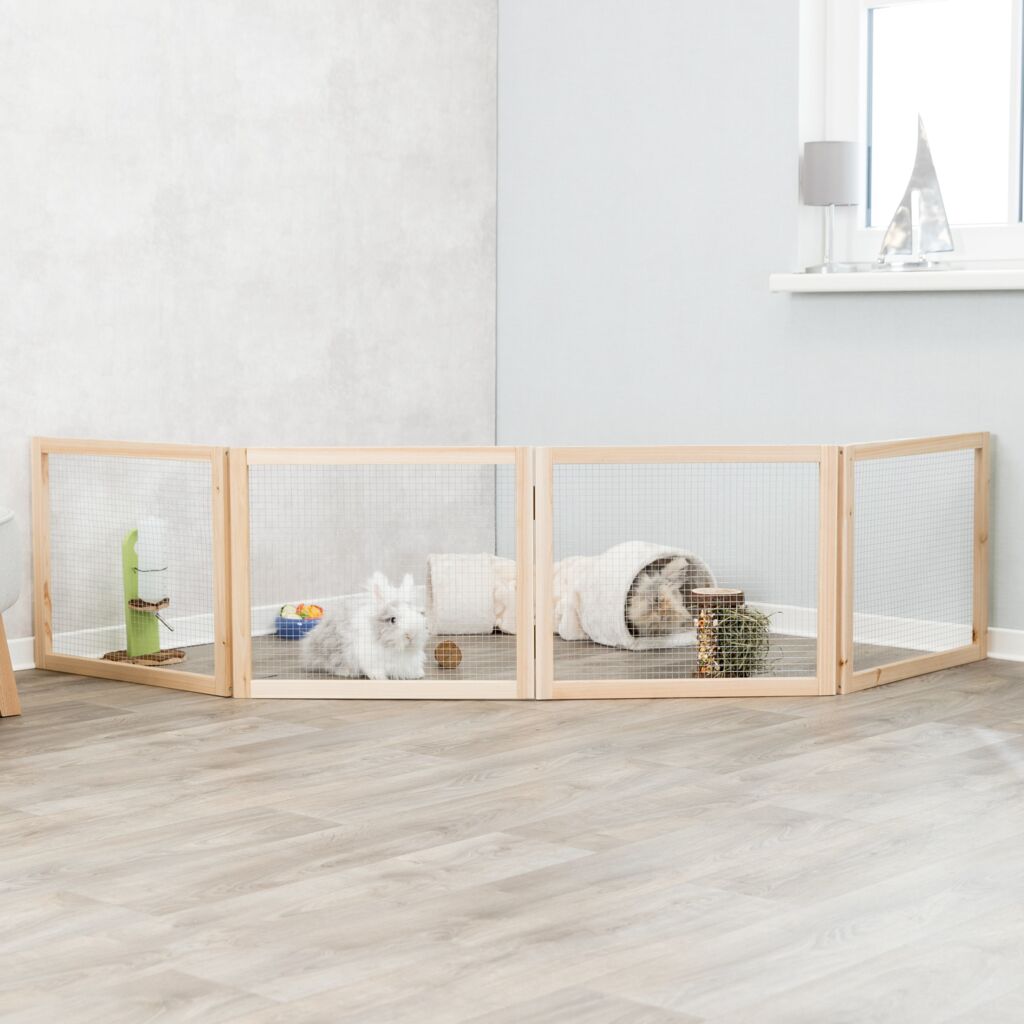 Indoor Freilaufgehege, Zwergkaninchen