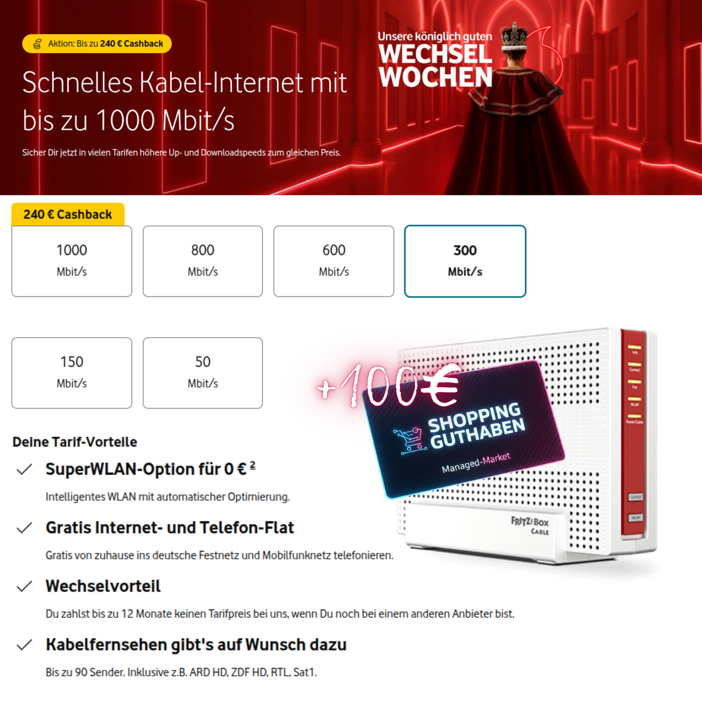 Vodafone Internet Zuhause + 100€ Shopping-Power