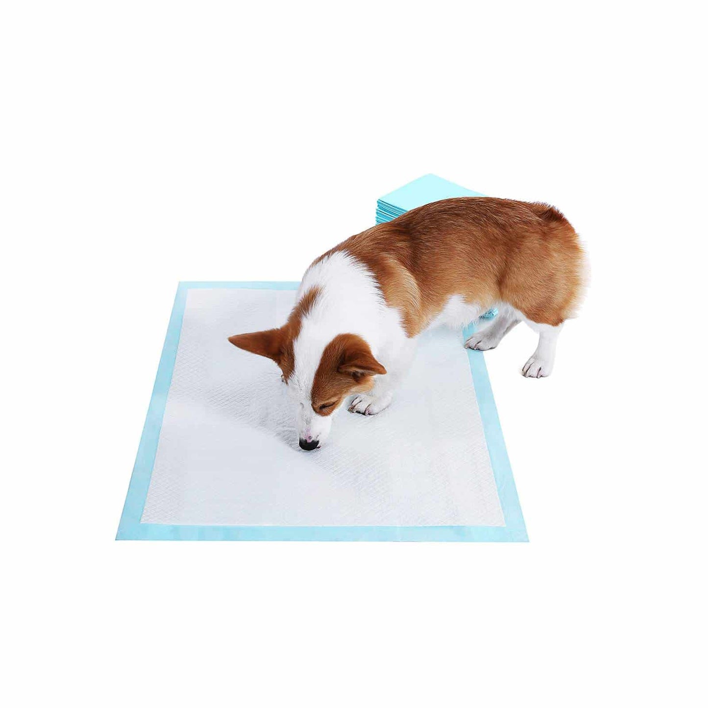 Welpen-Hygienepads 60 x 90 cm 100 Stk