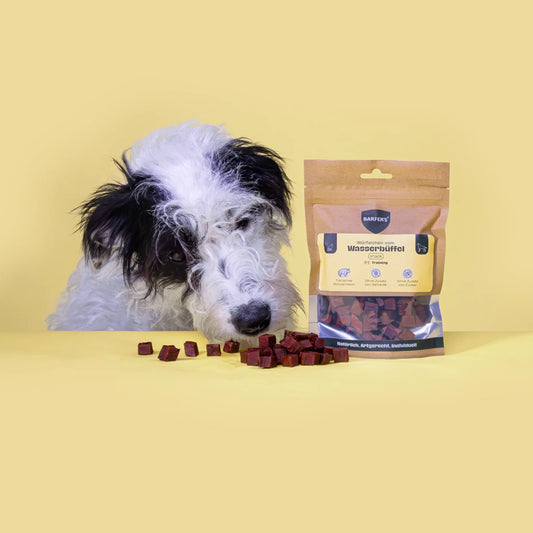 BARFER'S SNACK  - Würfelchen vom Wasserbüffel