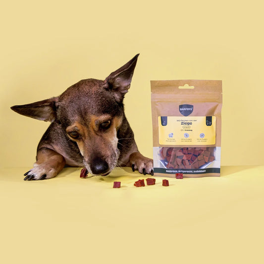 BARFER'S SNACK  - Würfelchen von der Ziege