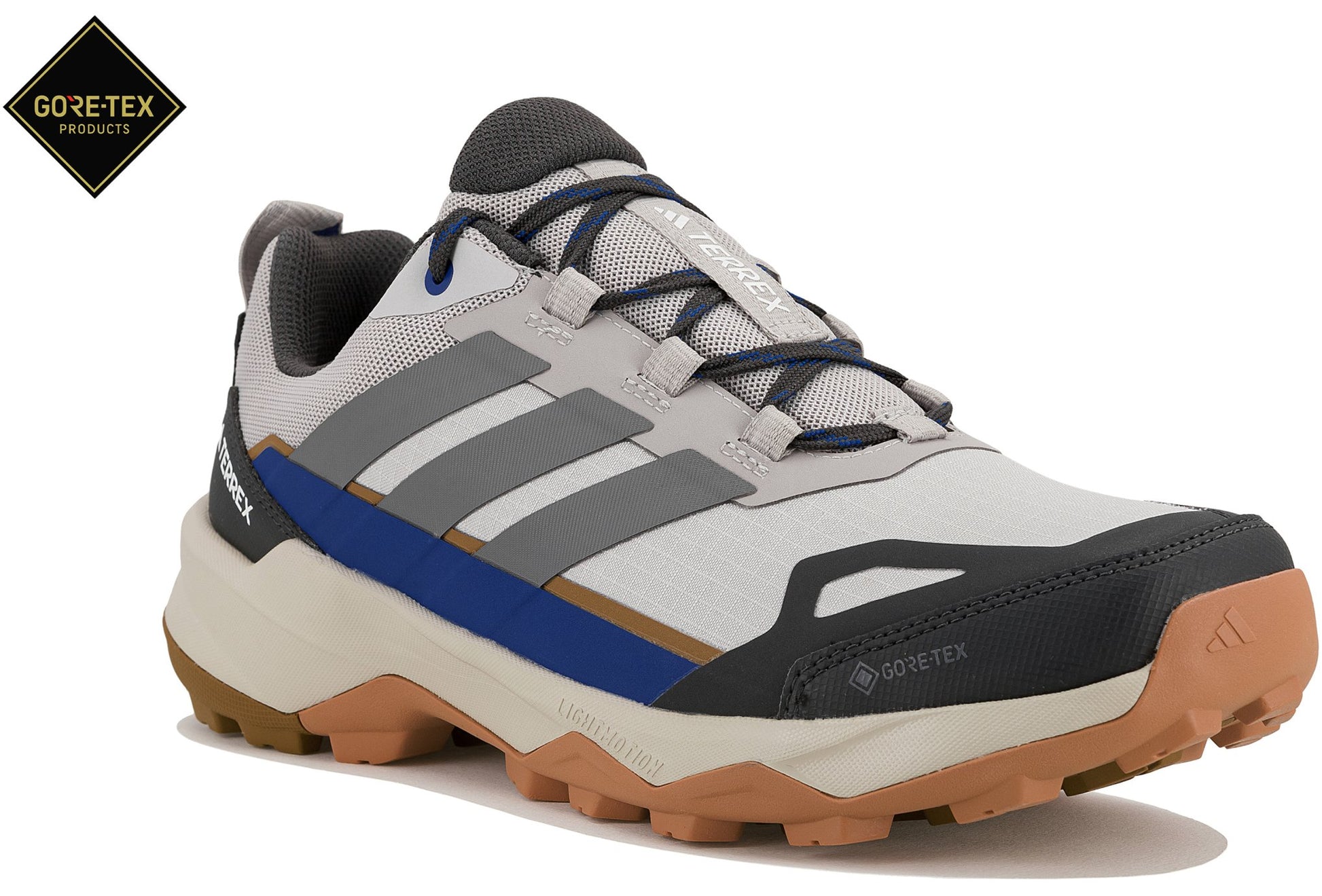 Terrex Skychaser AX5 Gore-Tex Herren