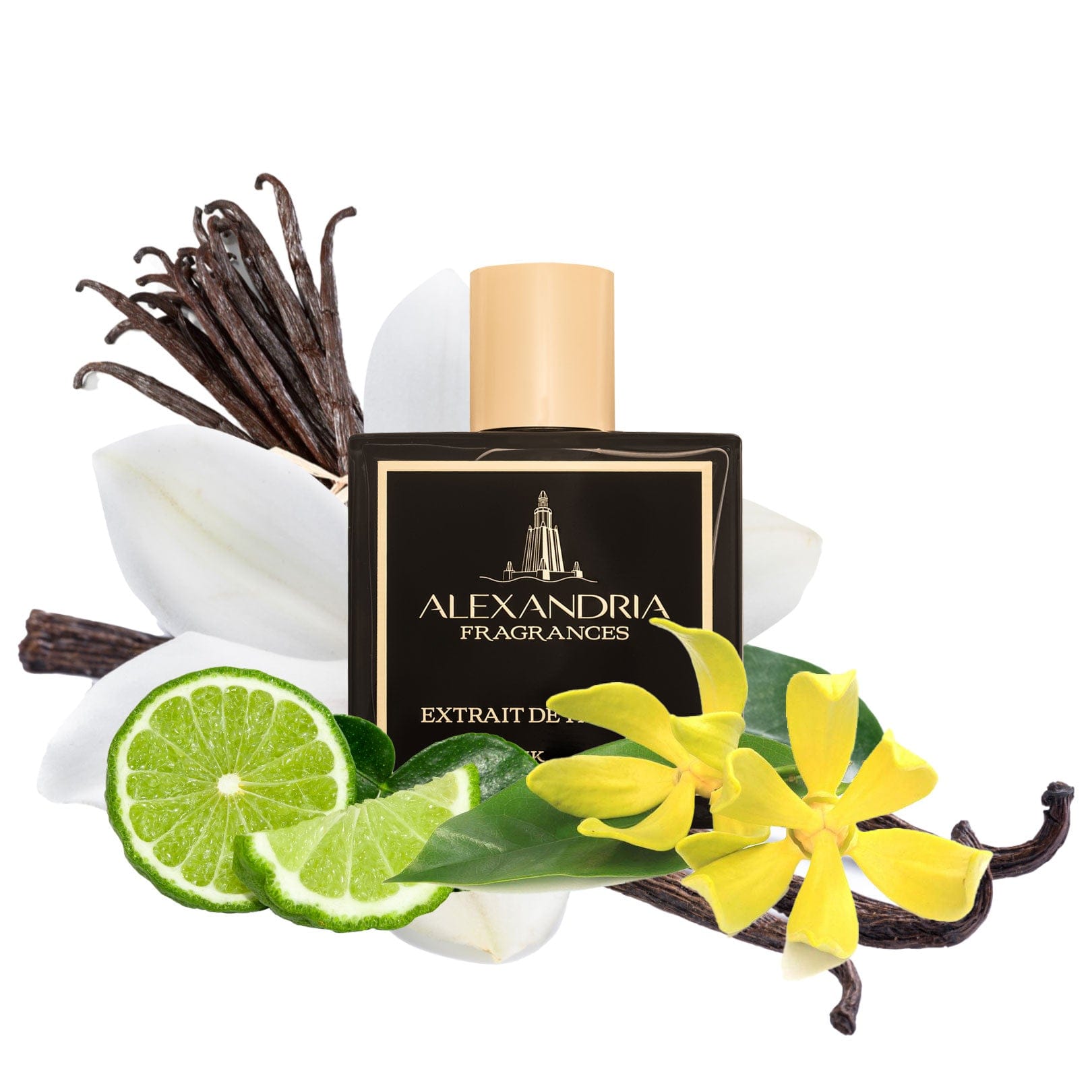 Vanille Doree Inspired By Guerlain Spiritueuse Double Vanille