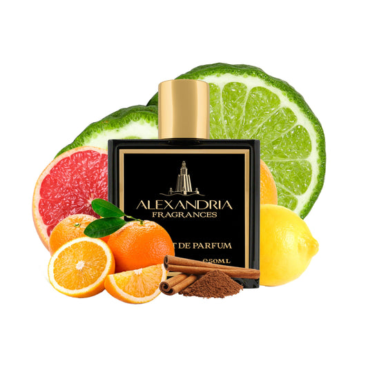 Visionary Inspired By Imagination LV Louis Vuitton