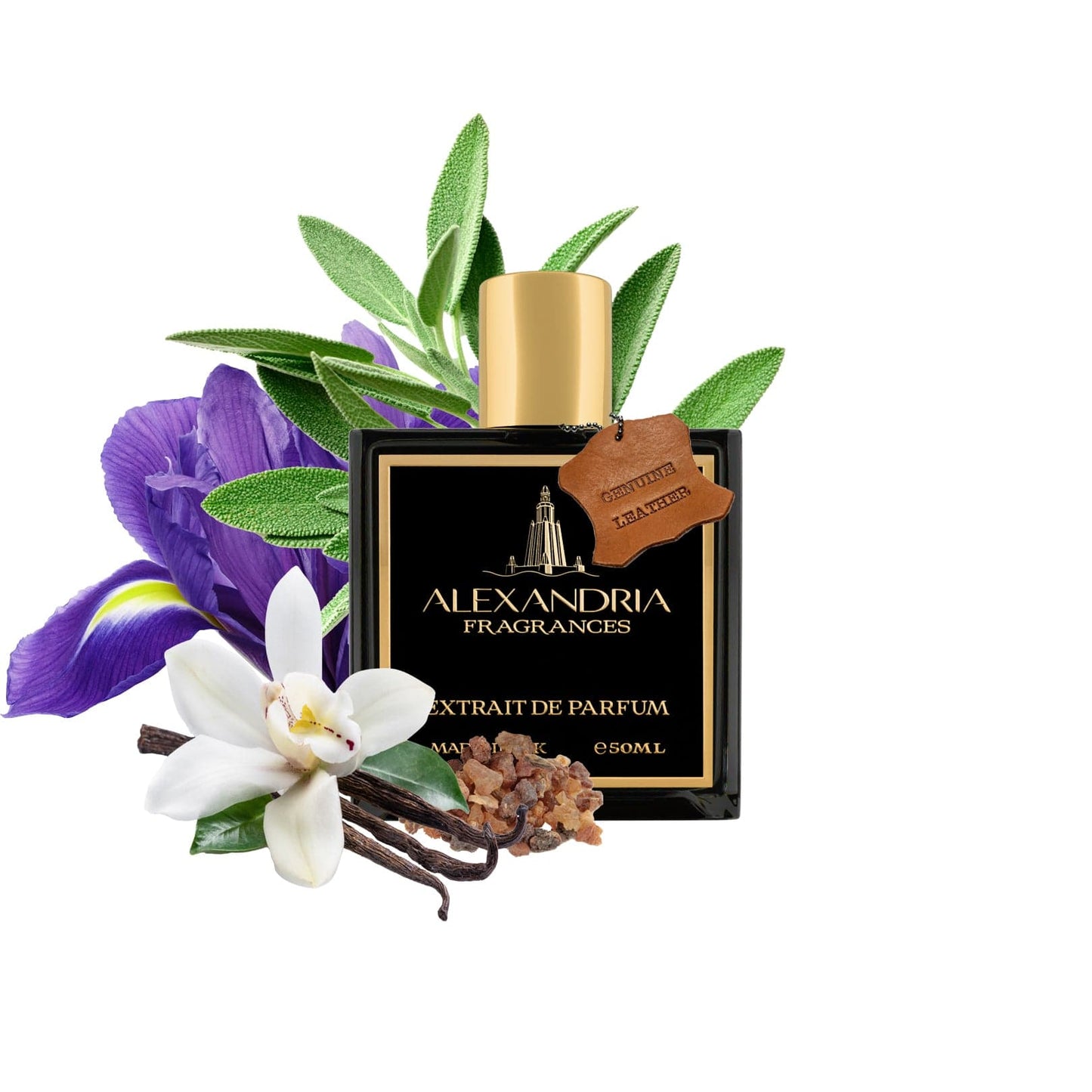 Rome Inspired By Leathered By Memo Italian  Leather