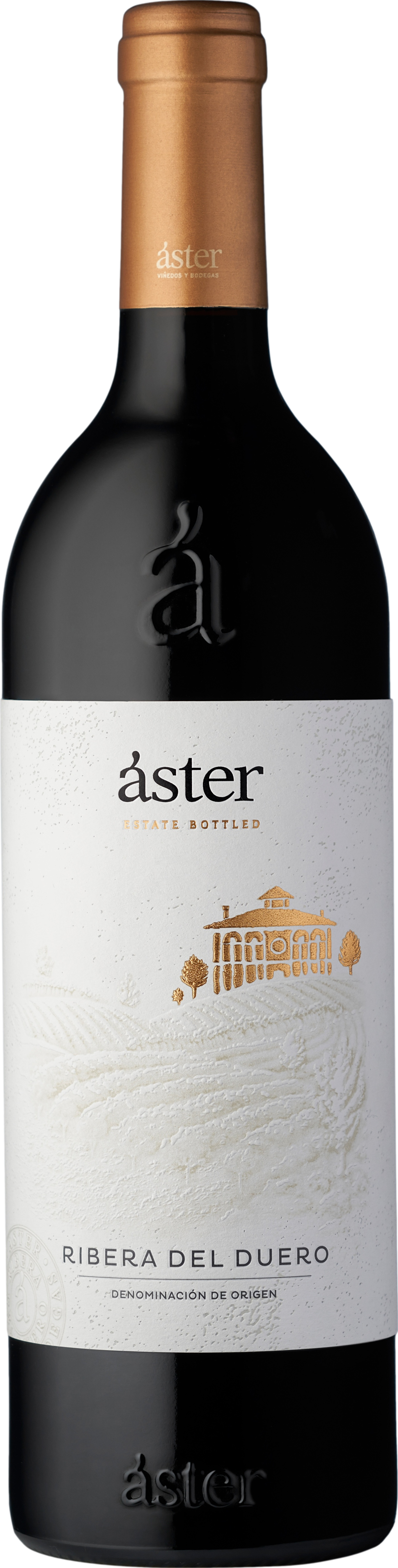 Aster Crianza 2021