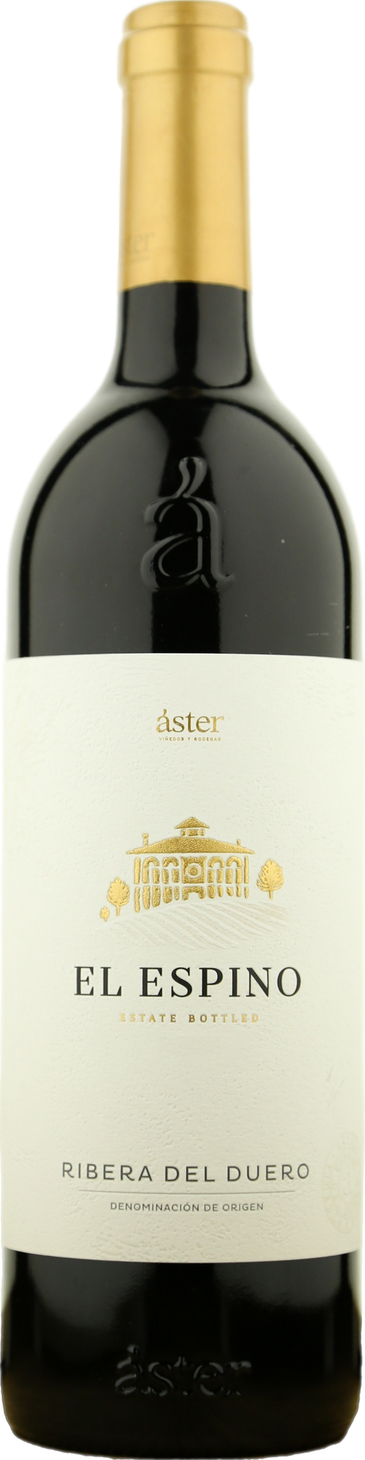 Aster El Espino 2020