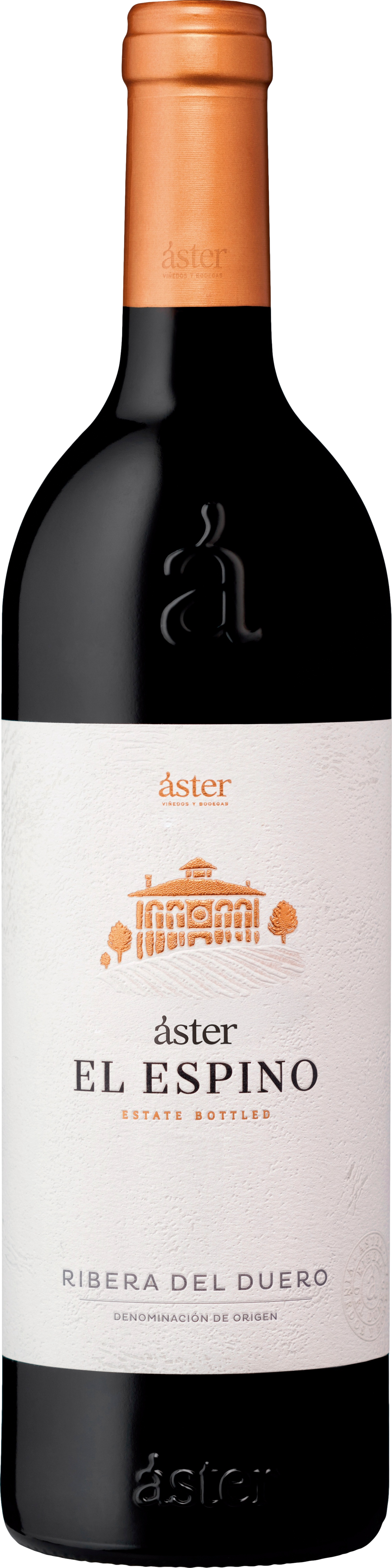 Aster El Espino 2021