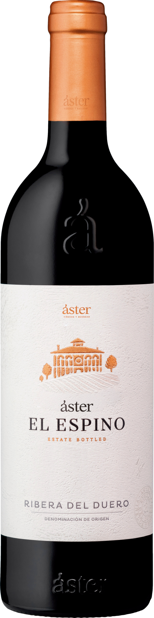 Aster El Espino 2021