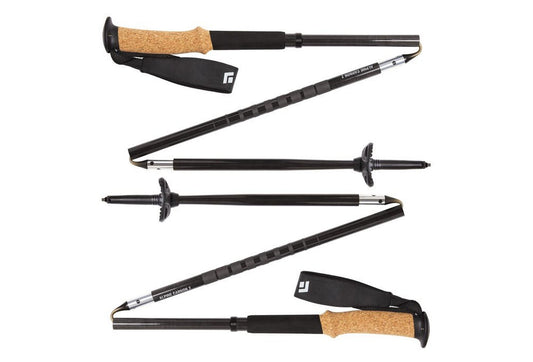 Alpine Carbon Z Z-Poles