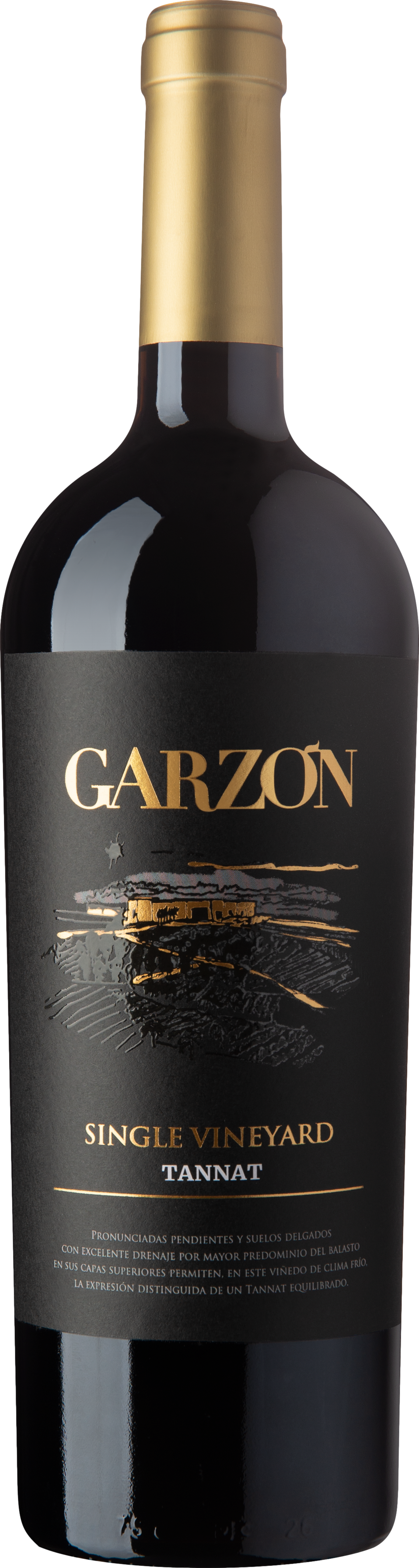 Bodega Garzon Single Vineyard Tannat 2022
