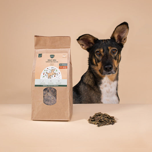 BARFER'S Für den Urlaub  - BALF-Mix Lamm für Hunde