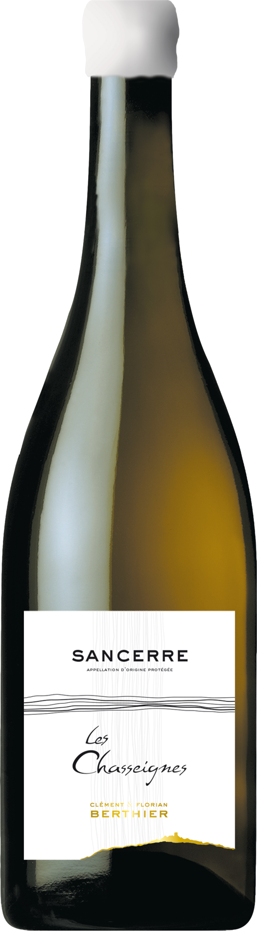 Clement & Florian Berthier Sancerre Les Chasseignes 2020