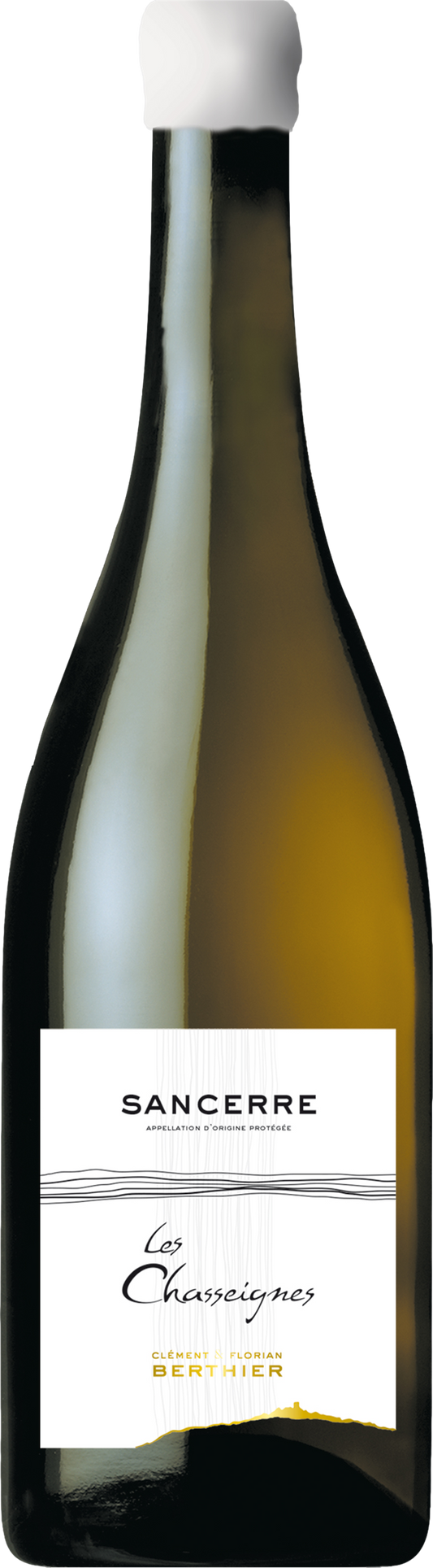 Clement & Florian Berthier Sancerre Les Chasseignes 2020