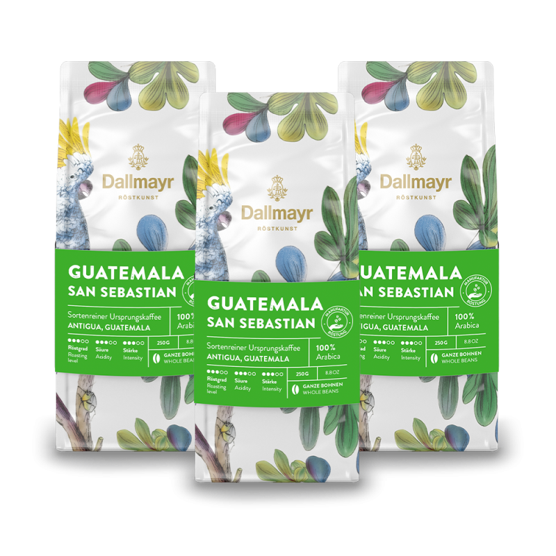 Röstkunst Guatemala San Sebastian 3x 250g g. Bohne