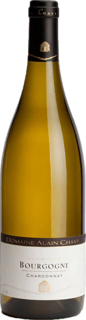 Domaine Alain Chavy Bourgogne Chardonnay 2023