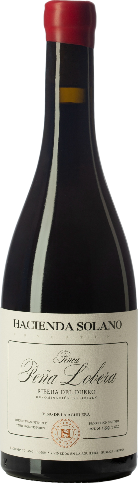 Hacienda Solano Finca Pena Lobera 2021