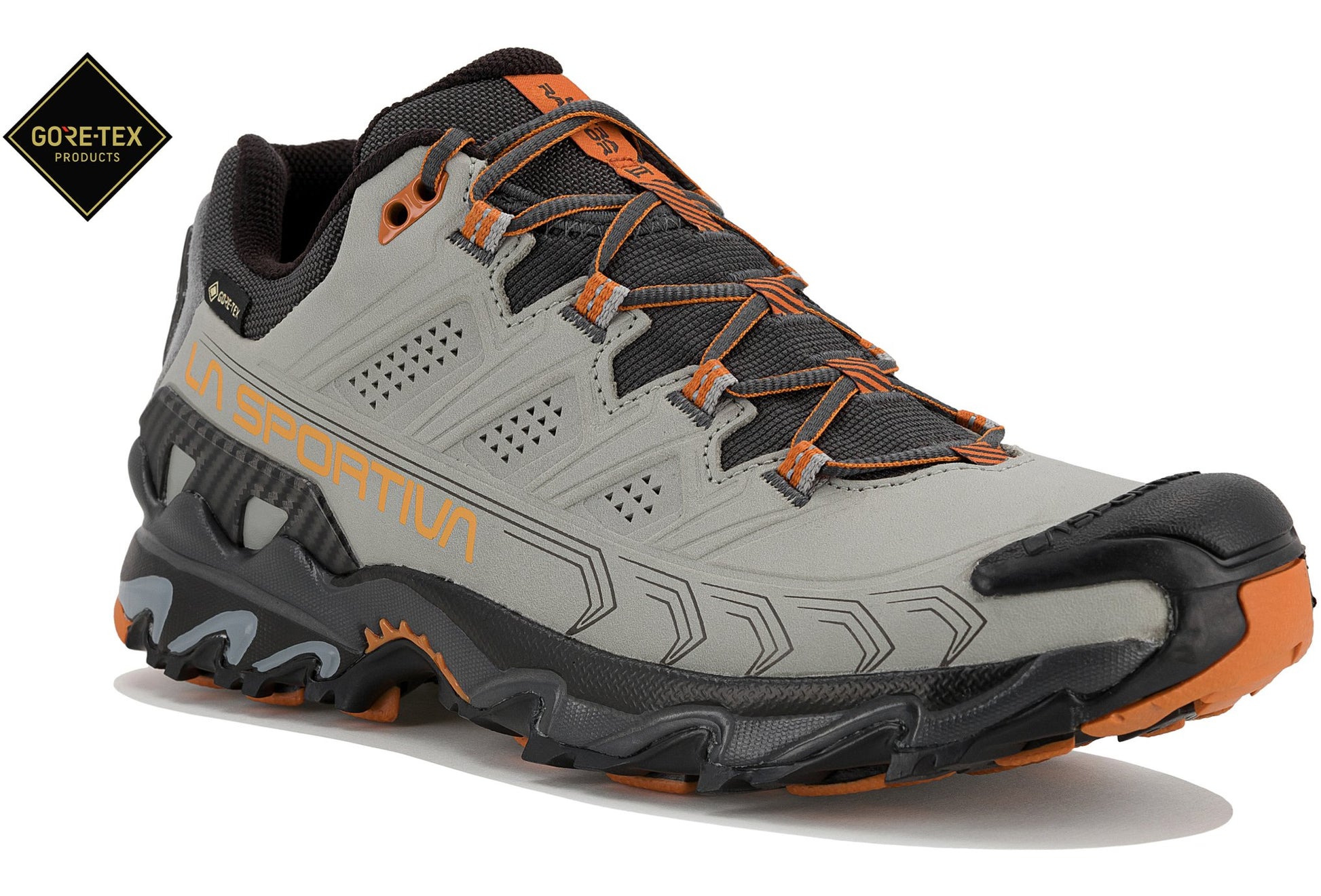 Ultra Raptor II Leather Gore-Tex Herren