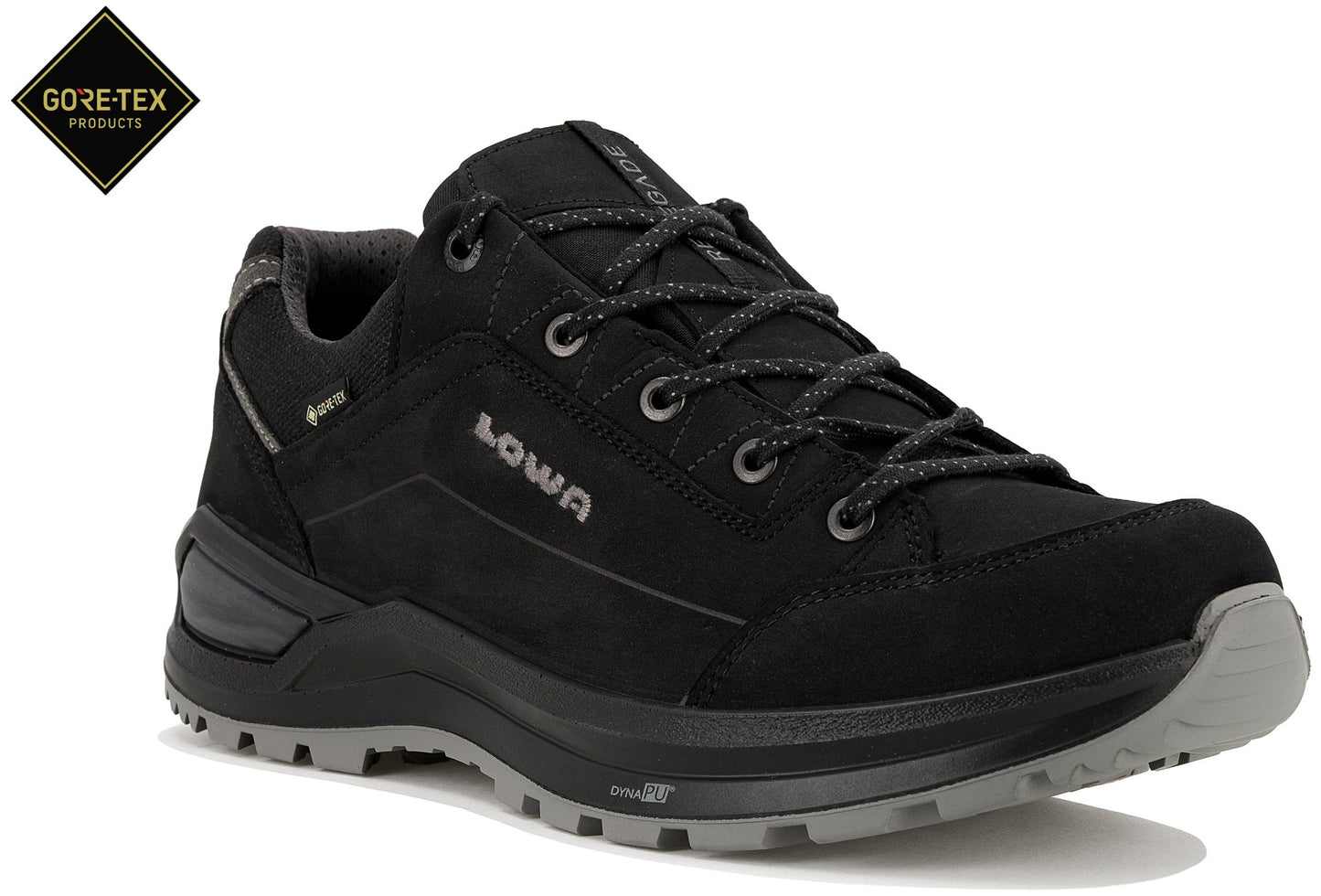 Renegade Evo Gore-Tex Lo Herren