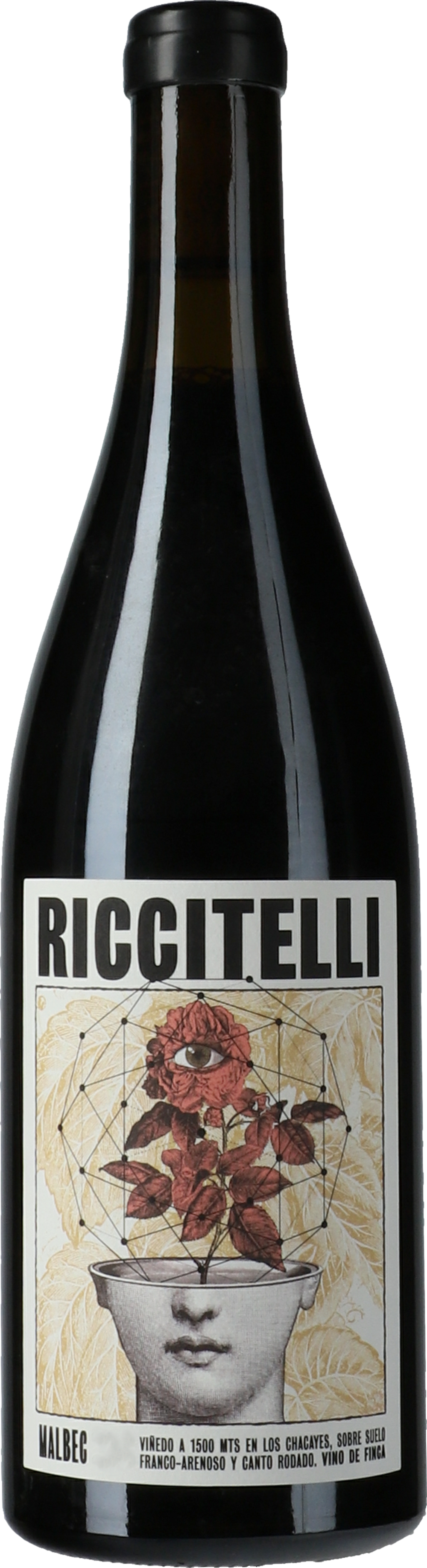 Matias Riccitelli Vinas Extremas Los Chacayes Malbec 2019