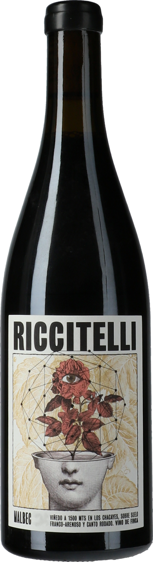Matias Riccitelli Vinas Extremas Los Chacayes Malbec 2019