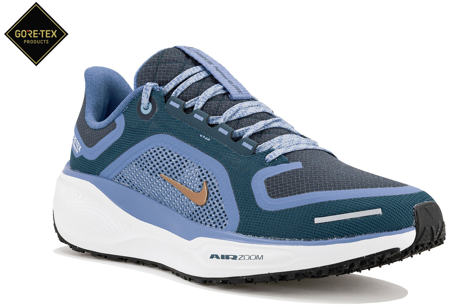 Pegasus Gore-Tex