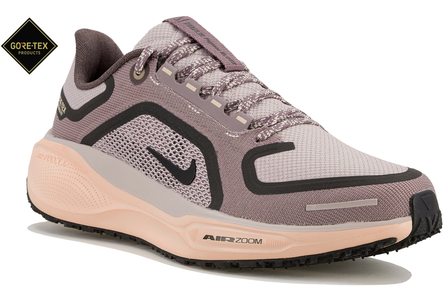 Pegasus Gore-Tex