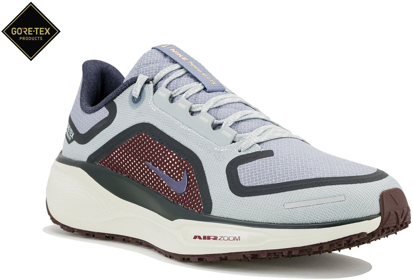 Pegasus Gore-Tex