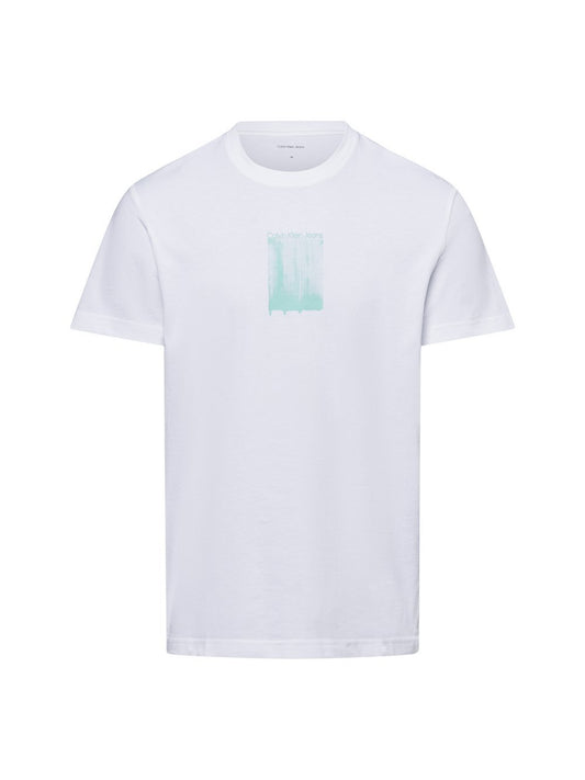 Calvin Klein Jeans T-Shirt Herren Baumwolle bedruckt